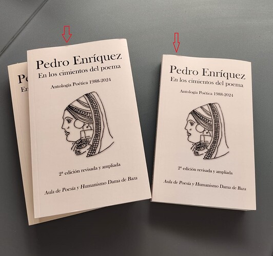 En los cimientos del poema - libros-PEnriquez-